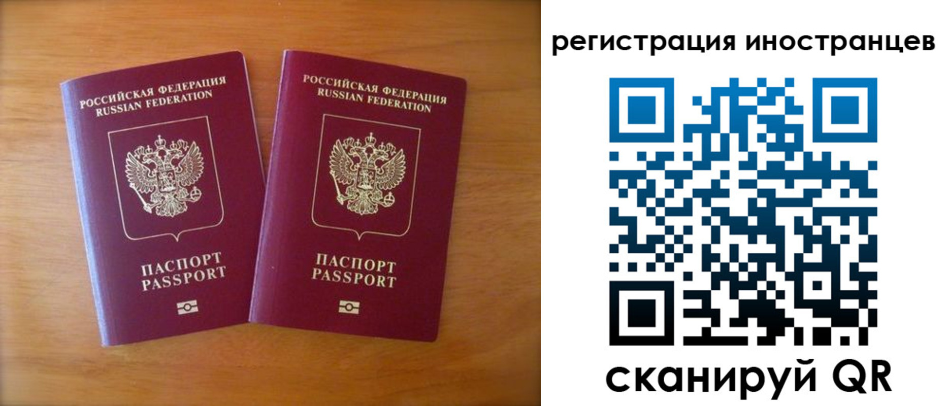 прописка поиск в Краснозаводске
